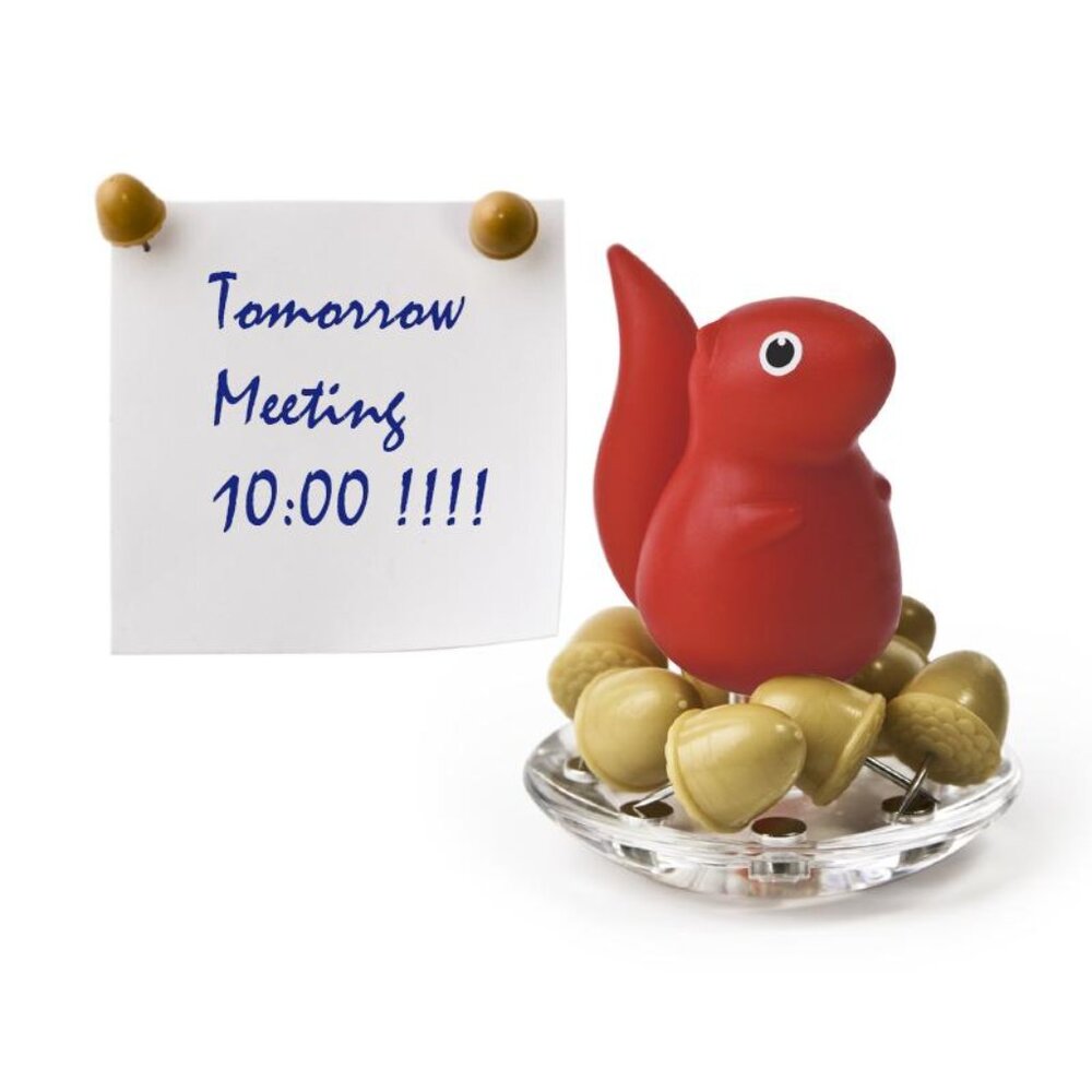 Red Squirrel with Push Pin Acorns for Office NEW